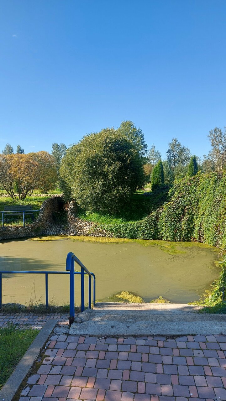 Гостиница Амфора Вязьма-219