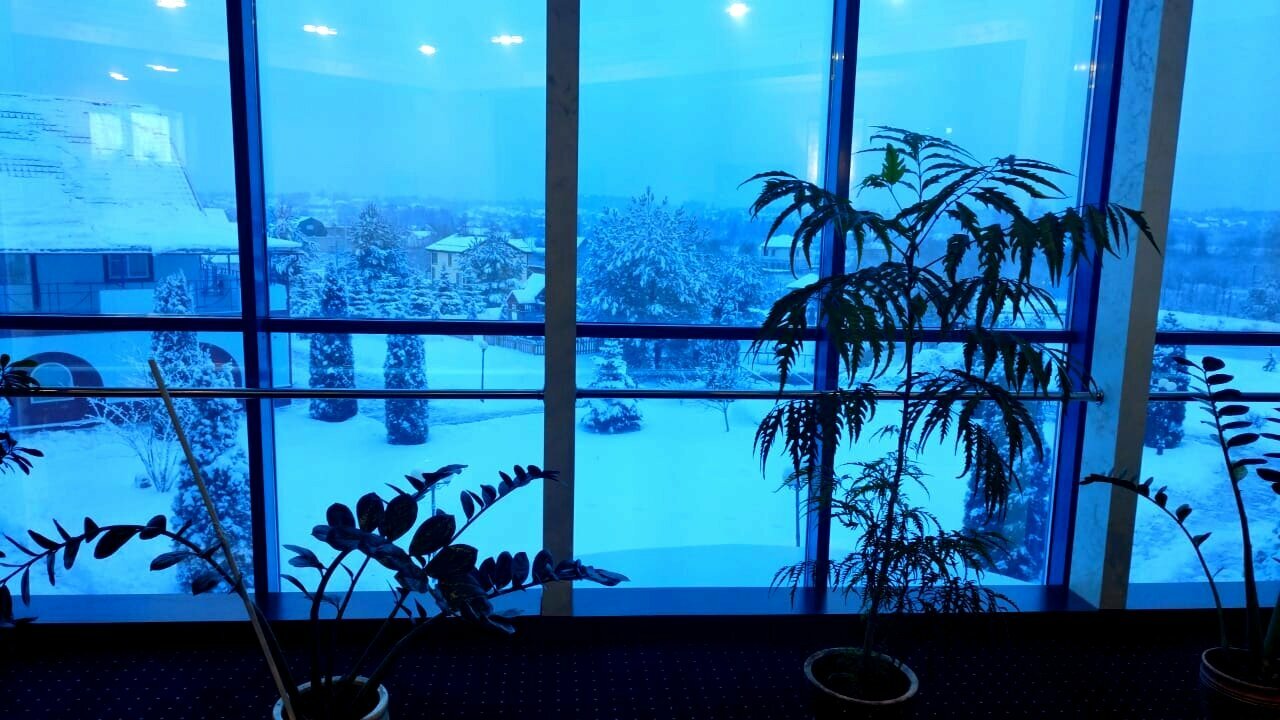 Гостиница Амфора Вязьма-59