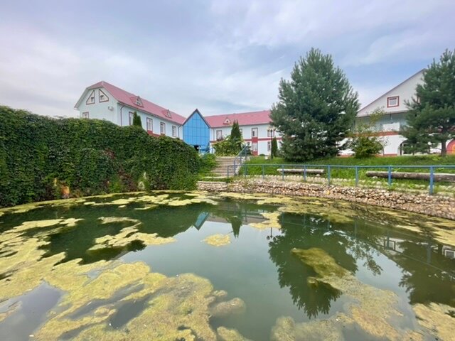 Гостиница Амфора Вязьма-83