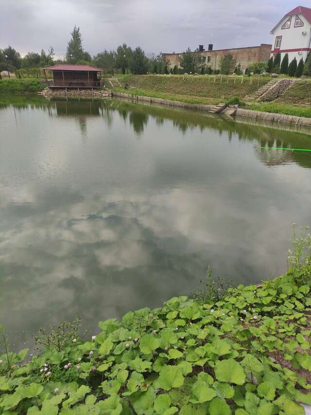 Гостиница Амфора Вязьма-65