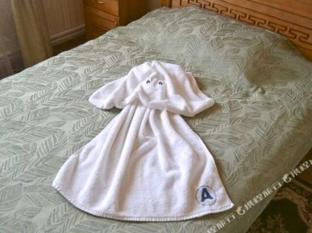 Гостиница Амфора Вязьма-85