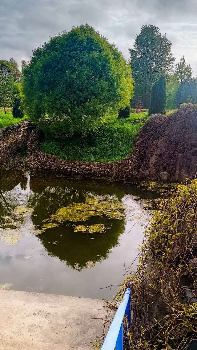 Гостиница Амфора Вязьма-151