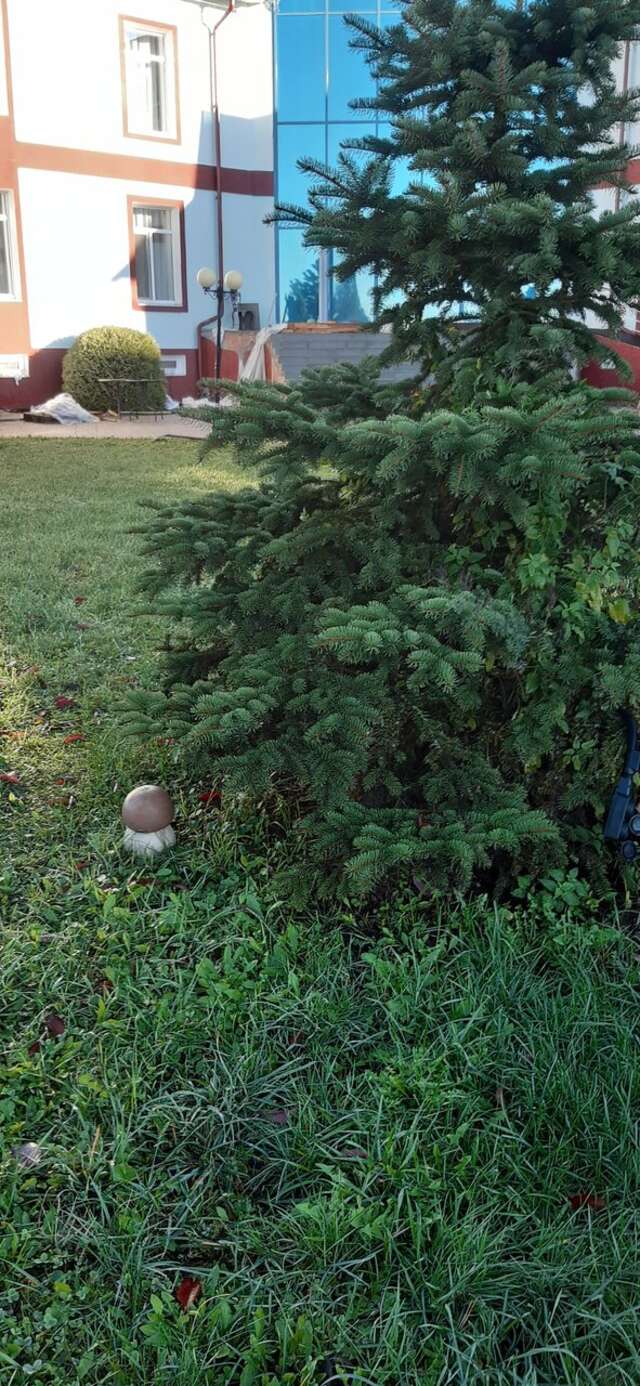 Гостиница Амфора Вязьма-111