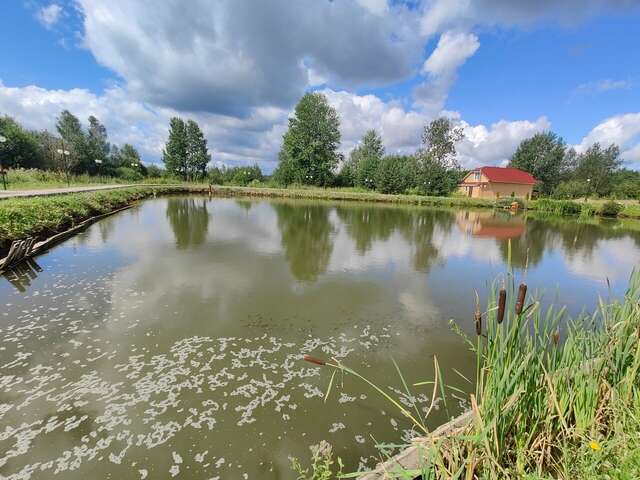 Гостиница Амфора Вязьма-206